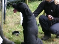 k-img_1972