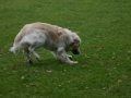 k-img_1985