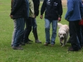 k-img_1988