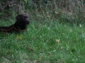 k-img_2005
