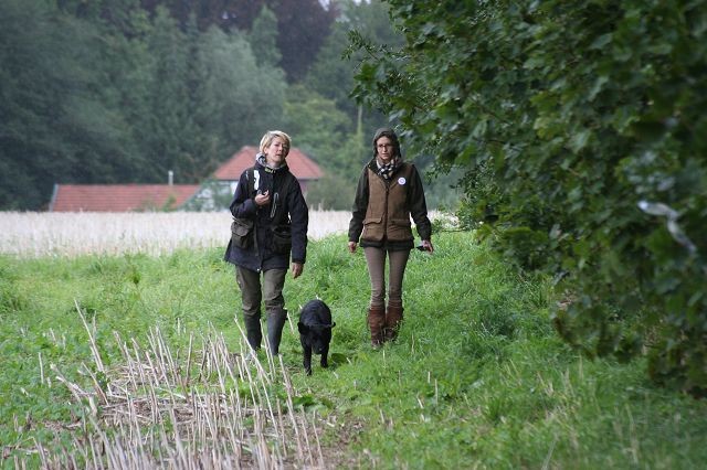 k-Anfänger  (1)