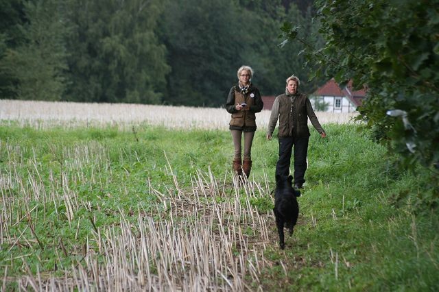 k-Anfänger  (25)