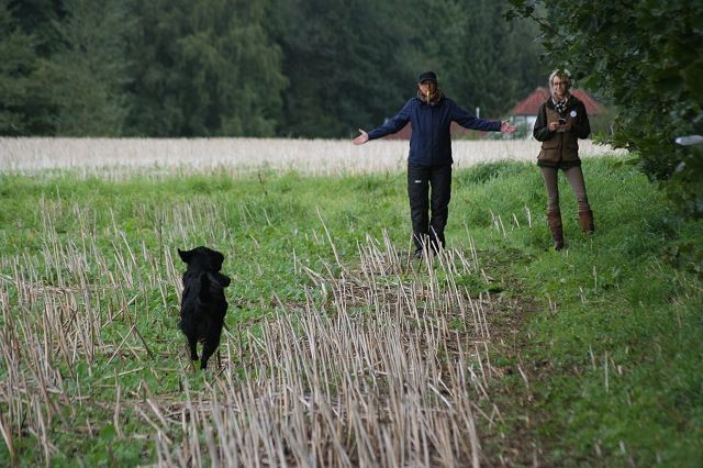 k-Anfänger  (26)