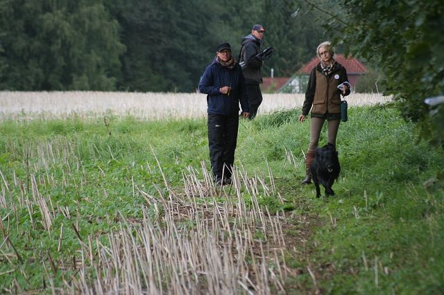 k-Anfänger  (27)