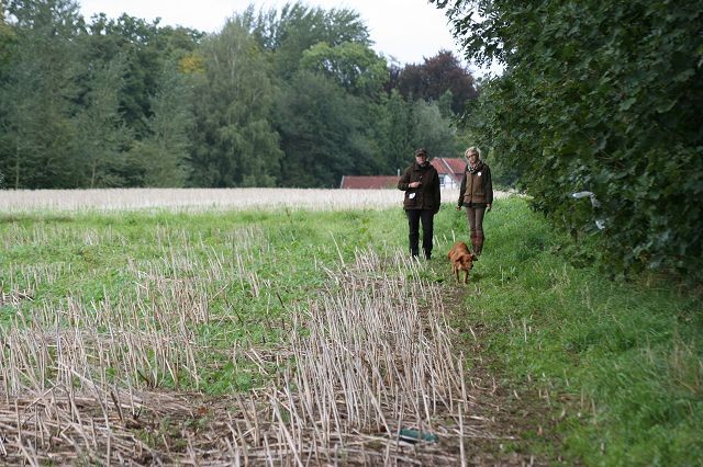 k-Anfänger  (28)