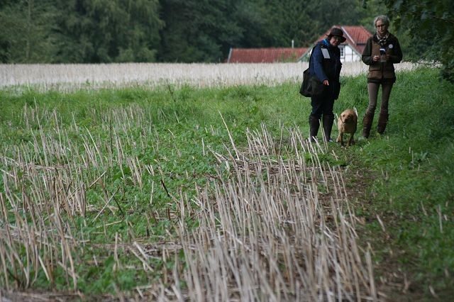 k-Anfänger  (33)