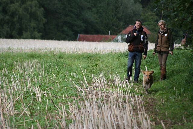 k-Anfänger  (35)