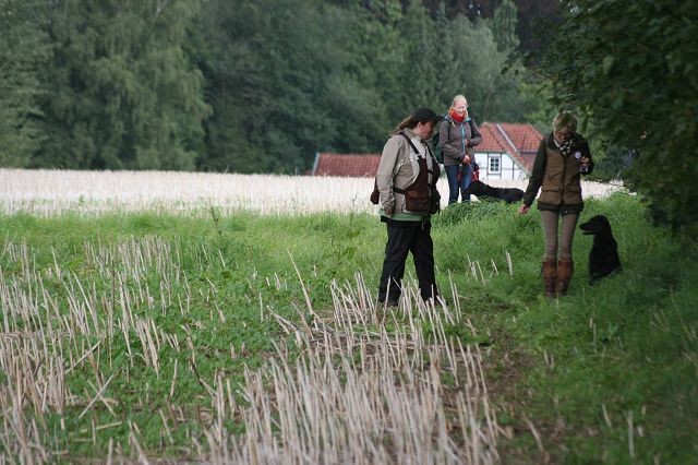 k-Anfänger  (37)