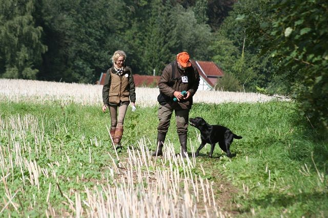 k-Anfänger  (47)