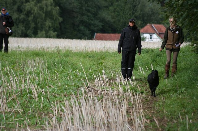k-Anfänger  (50)