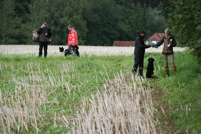 k-Anfänger  (51)