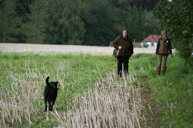 k-Anfänger  (53)