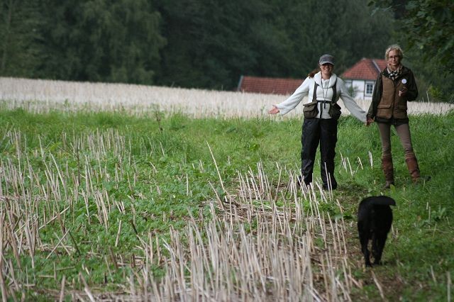 k-Anfänger  (55)