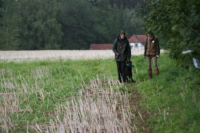 k-Anfänger  (58)