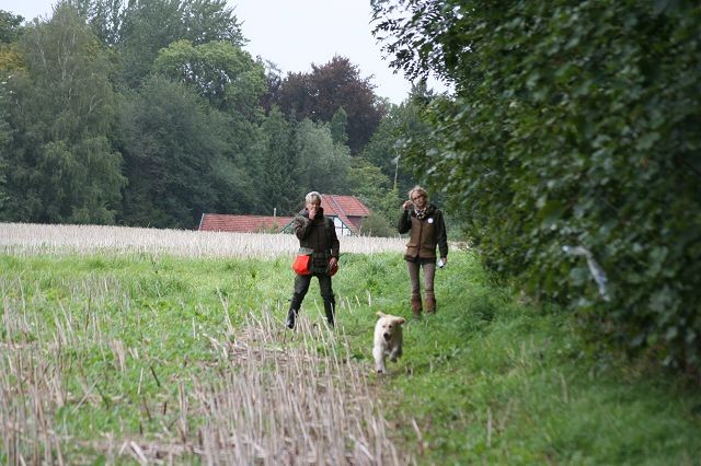 k-Anfänger  (6)