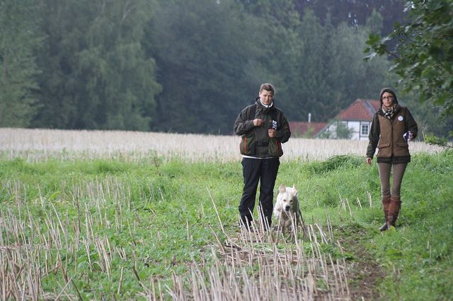k-Anfänger  (60)
