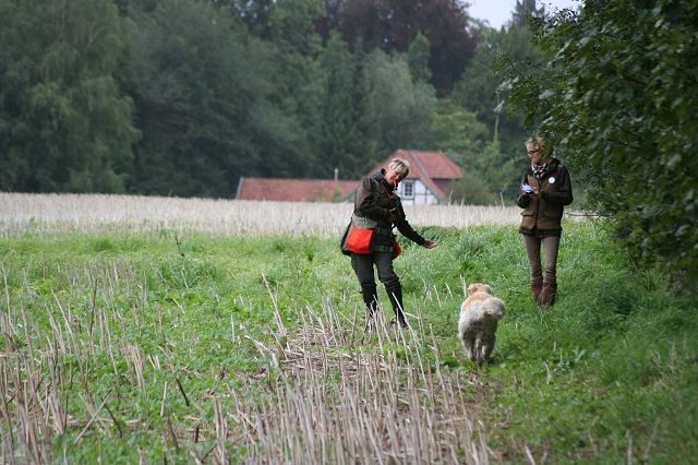 k-Anfänger  (7)
