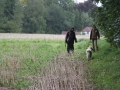 k-Anfänger  (19)