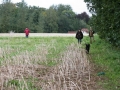 k-Anfänger  (31)