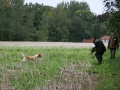 k-Schnuperer (5)