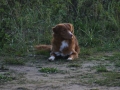 k-img_1603