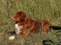 k-img_1709