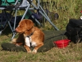 k-img_1710