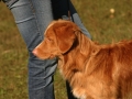 k-img_1732