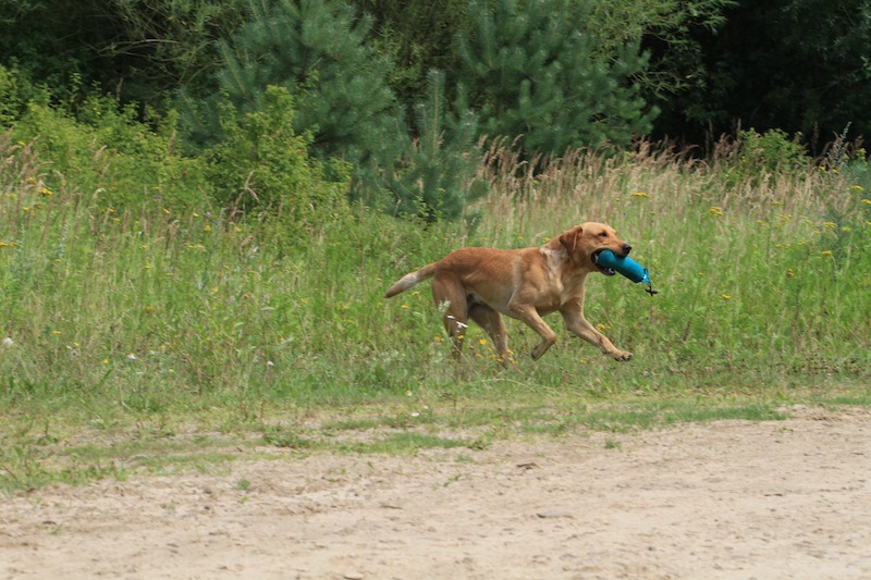 20120804-img_2673