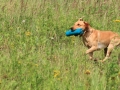 20120804-img_2669