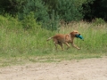 20120804-img_2673