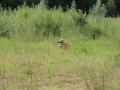 20120804-img_2679