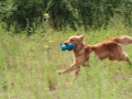 20120804-img_2681