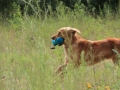 20120804-img_2683