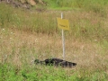20120804-img_2687