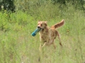 20120804-img_2700