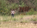 20120804-img_2754