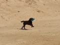 20120804-img_2763