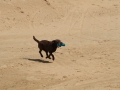 20120804-img_2765