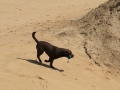 20120804-img_2766