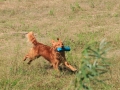 20120804-img_2794