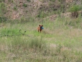 20120804-img_2803