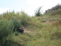 20120804-img_2812