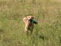 20120804-img_2820