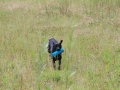 20120804-img_2826