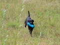 20120804-img_2835
