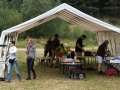 k-20170805-Wunstorfer-WT-002