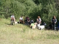 k-IMG_4666