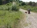k-IMG_4813
