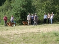 k-IMG_4846